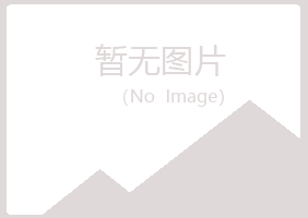 龙海夏岚咨询有限公司